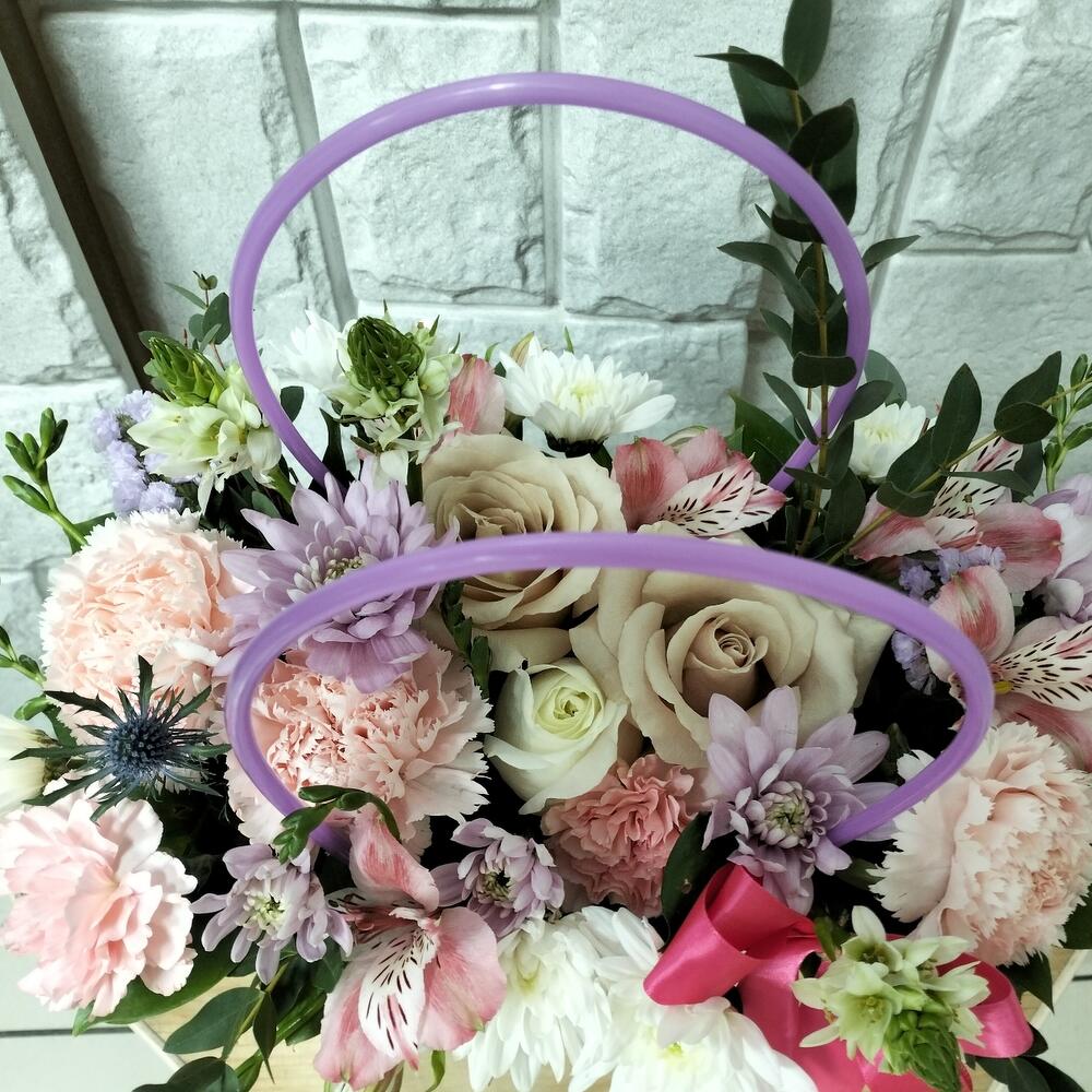 Прованс Прованс