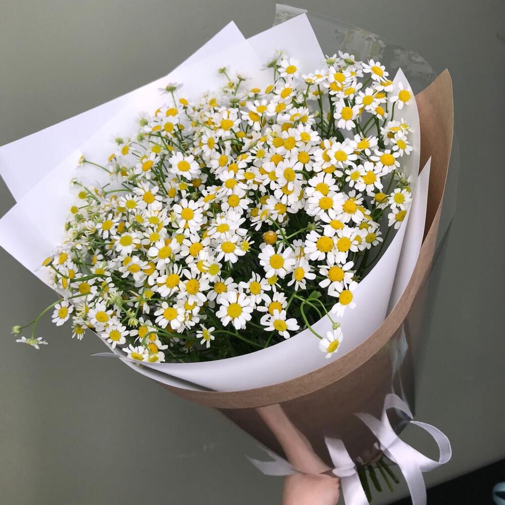 Кулек ромашек