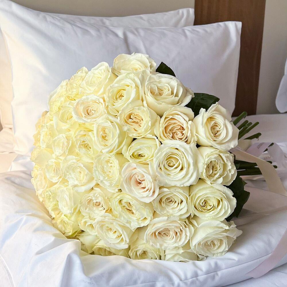 51 PREMIUM WHITE ROSE