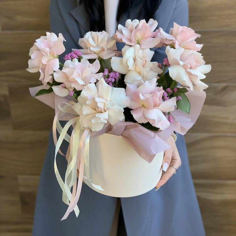 Коробка viver 10